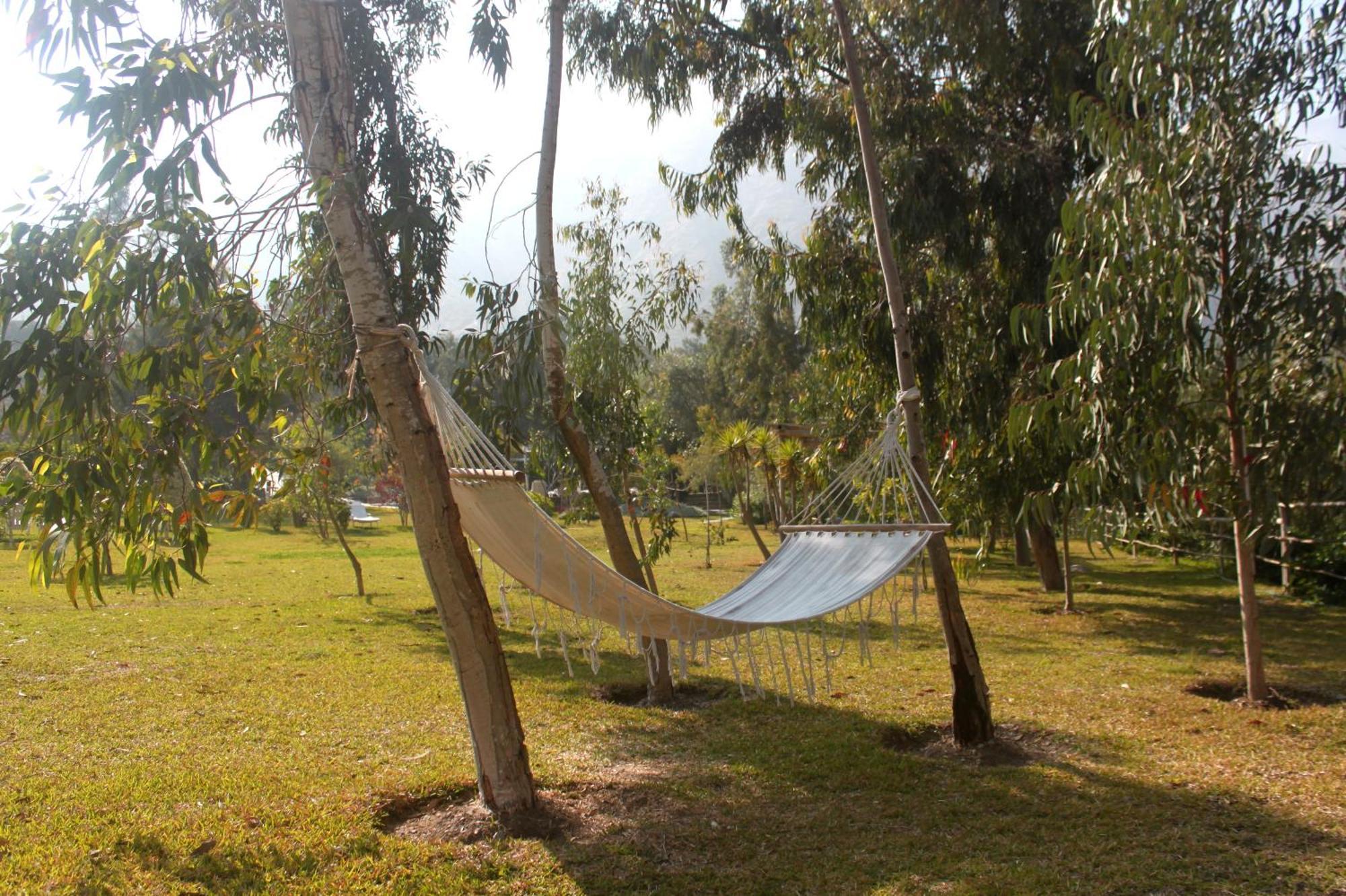 Hotel Los Palomos Lunahuaná Extérieur photo