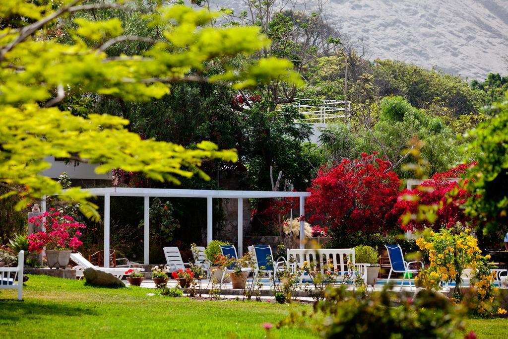 Hotel Los Palomos Lunahuaná Extérieur photo